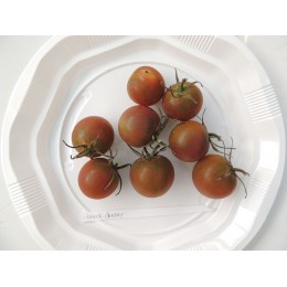 Tomate cerise ancienne 'Black Cherry' - (Graines / Seeds)