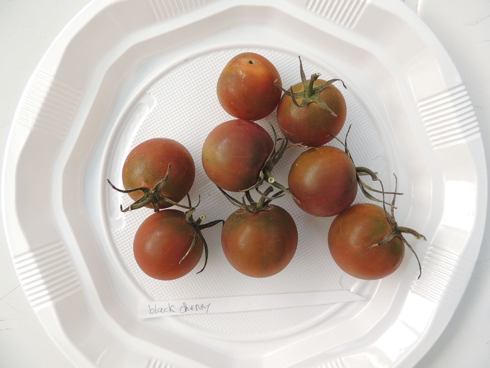 Graines de Tomates cerises – 6 variétés à découvrir ou à redécouvrir