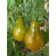 Tomate 'Poire Verte' - Solanum lycopersicum  (Graines / seeds)