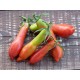 Tomate ancienne  'Bowlin Pin' (Graines / seeds)