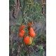 Tomate cerise 'Poire rouge' (Graines / seeds)