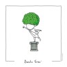 Basilic nain “Grec” – Ocimum basilicum – Bio - Humour et jardin