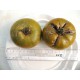 Tomate ancienne  'Malakhitovaya Shkatulka' BIO (Graines / seeds)