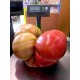 Tomate géante 'Big Zac' - Grosse tomate de concours (graines / seeds)