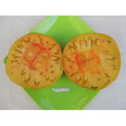 Tomate ancienne 'Ananas' (Graines / seeds)