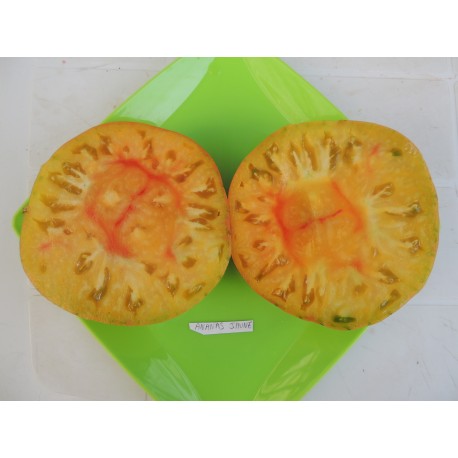 Tomate ancienne 'Ananas' (Graines / seeds)