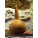 Calebasse / Gourde sèche N°3 - Déco cabinet de curiosités végétales