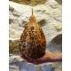 Calebasse / Gourde sèche 'Herisson' - Déco cabinet de curiosités végétales