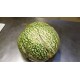 Citrullus lanatus  "rond à graines rouge" - Melon d'eau à confire (Graines / seeds)