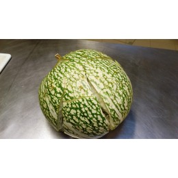 Cucurbita ficifolia - Courge de Siam ou Courge Cheveux d'ange (Graines / seeds)