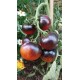 Tomate 'Indigo Apple' - Solanum lycopersicum  (Graines / seeds)